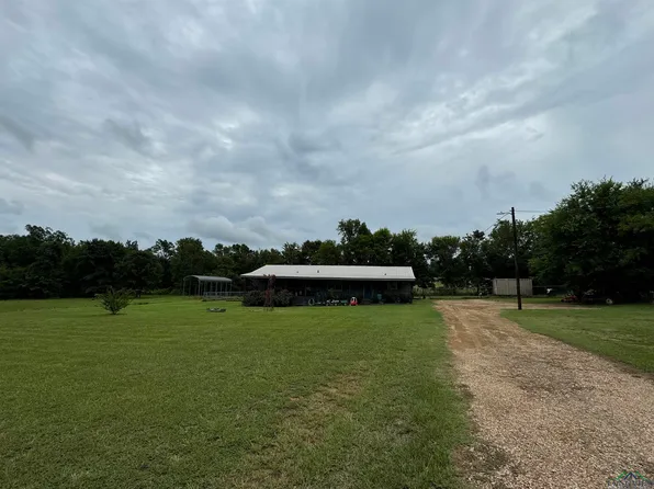 4912 Zinnia Rd, Diana, TX 75640