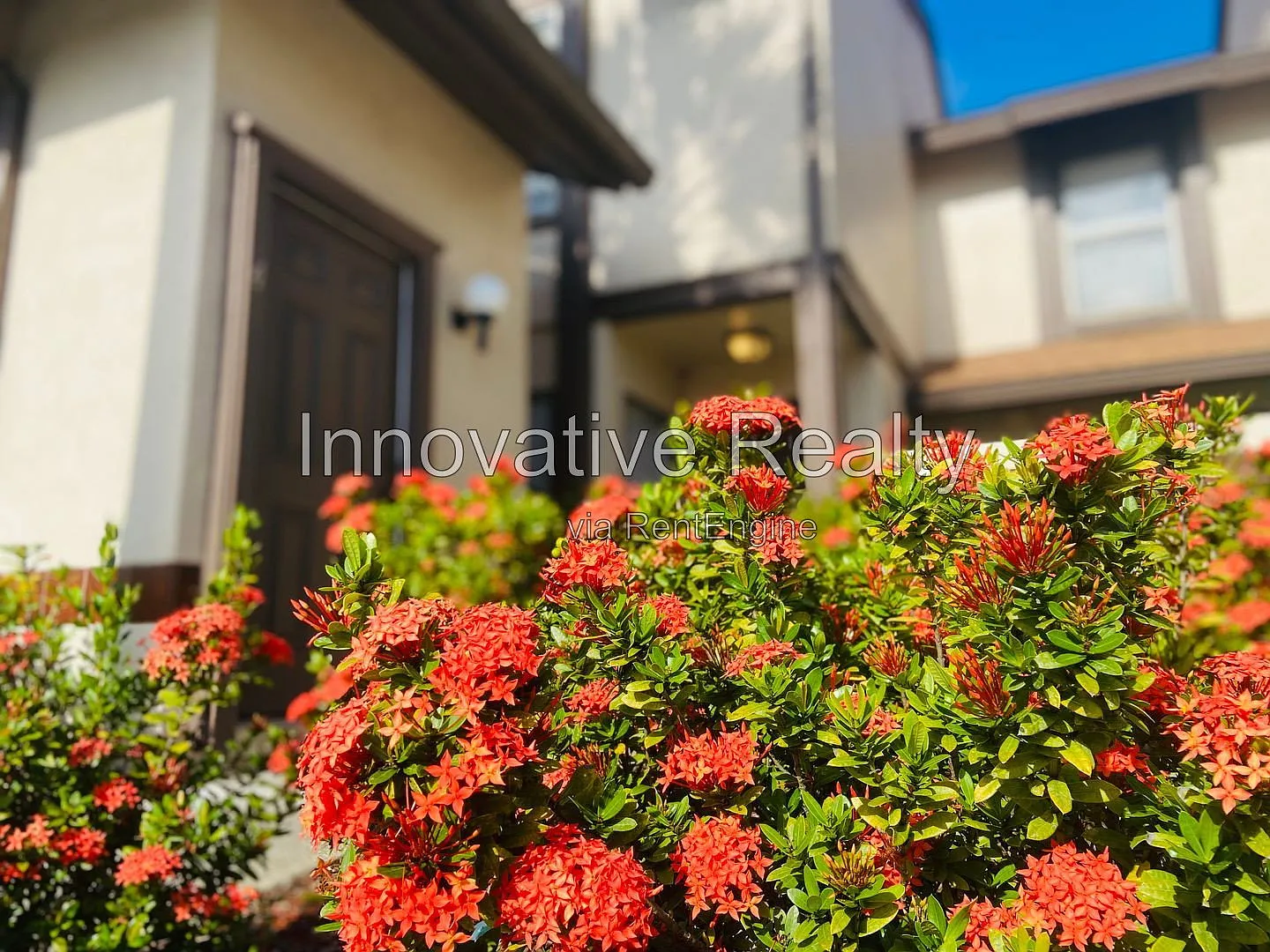 1 bed, 1.0 bath, 728 sqft, $1,250 — Photo 2