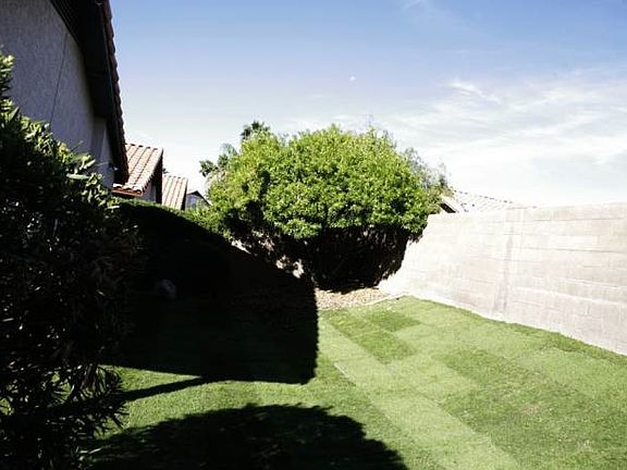Grass Back Yard