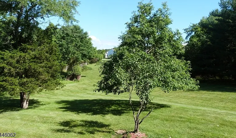 46 Buffalo Hollow Rd — Photo 16