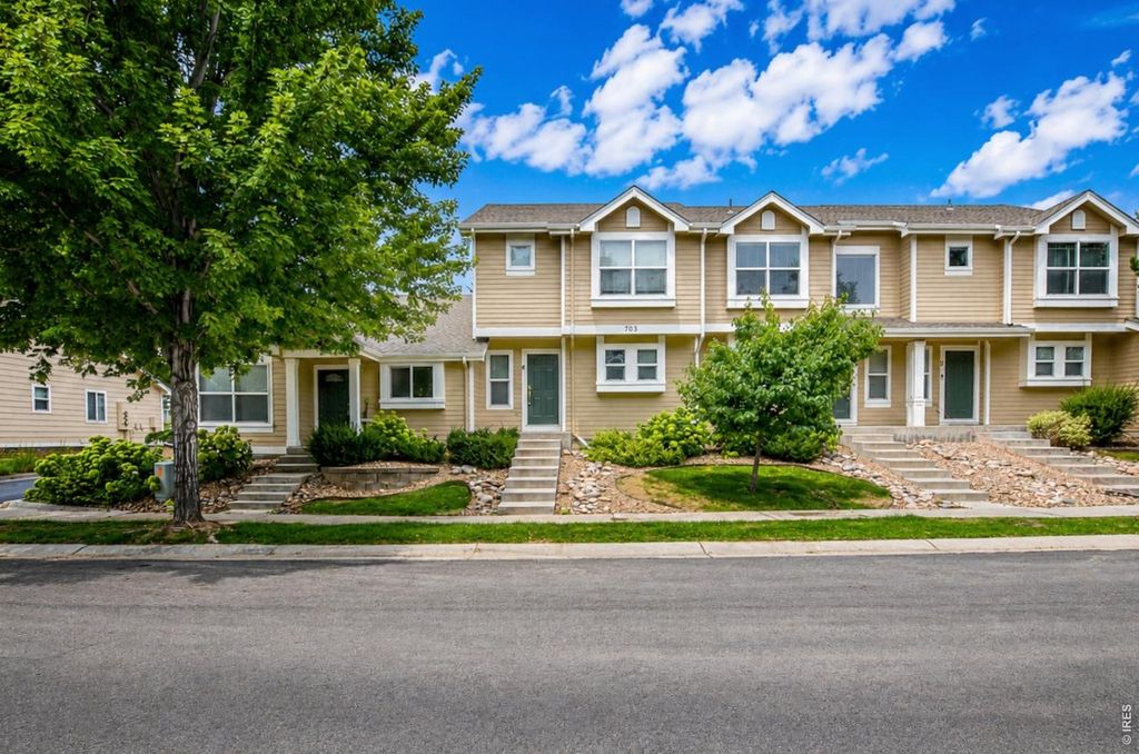 703 Crown Ridge Ln #4