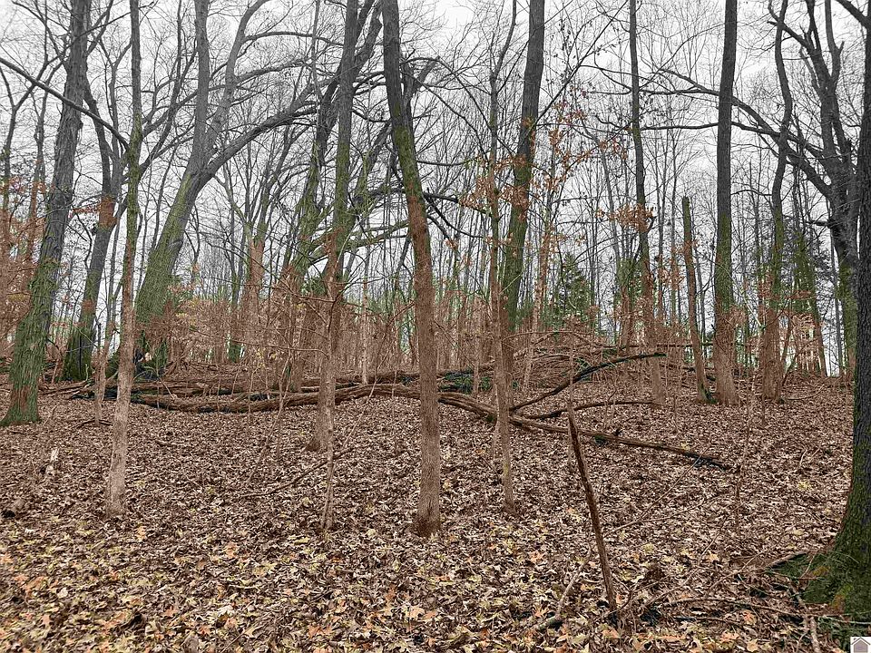 2nd image of 0 Morning Glory Dr