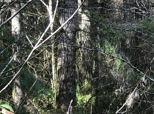 41751 SW Pumpkinseed Rd, Willamina, OR 97396