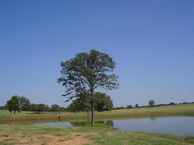 2nd image of 5700 Cox Canyon Dr Lot 7
