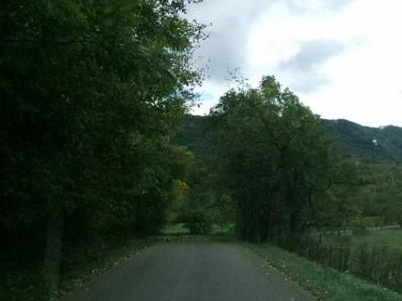 Exterior Neighborhood (street photo)