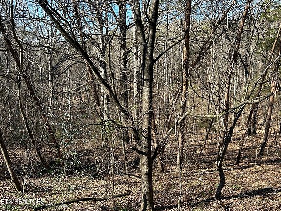 4th image of 5737 Rest Camp Rd