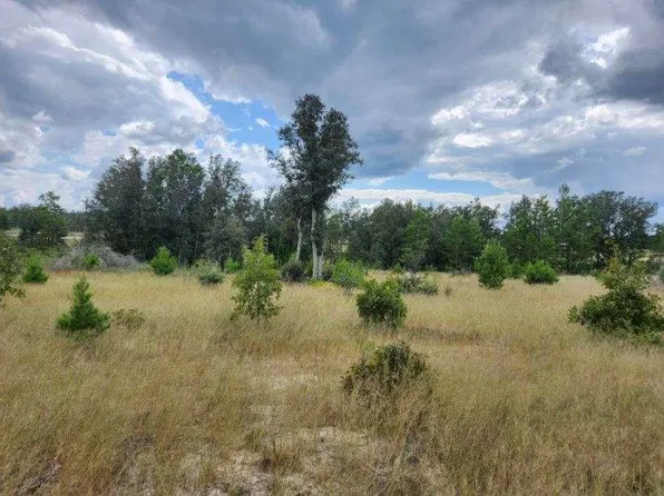 0 Pinewood Rd Tract 13, Nicholls, GA 31554