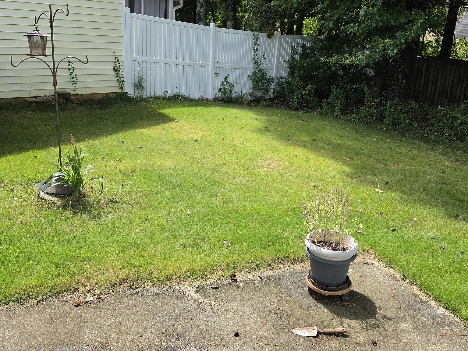 2 bed, 1274 sqft, $2,400 — Photo 3