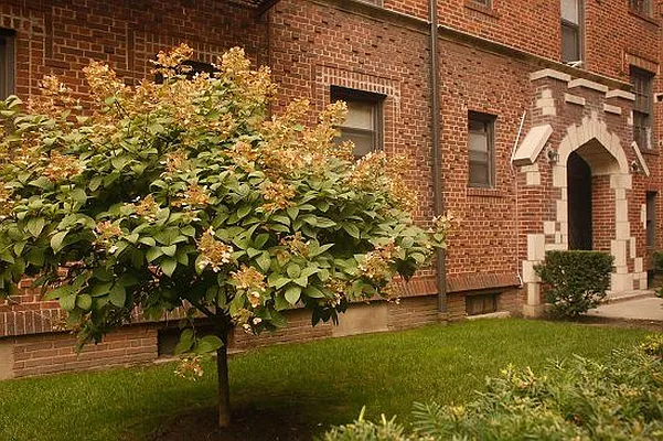 Rented by Cyclone Realty | media 23