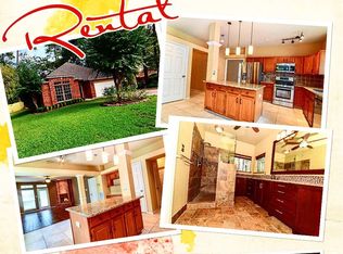 10 Grey Birch Pl, Spring, TX 77381