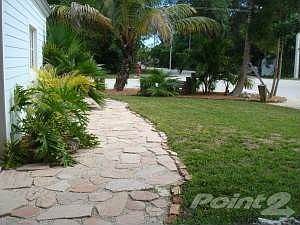 Tropical and stylish landscaping