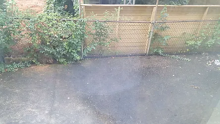 Rented by B & H Properties of New York LTD