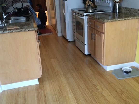 All appliances have been upgraded. Bamboo flooring in the kitchen