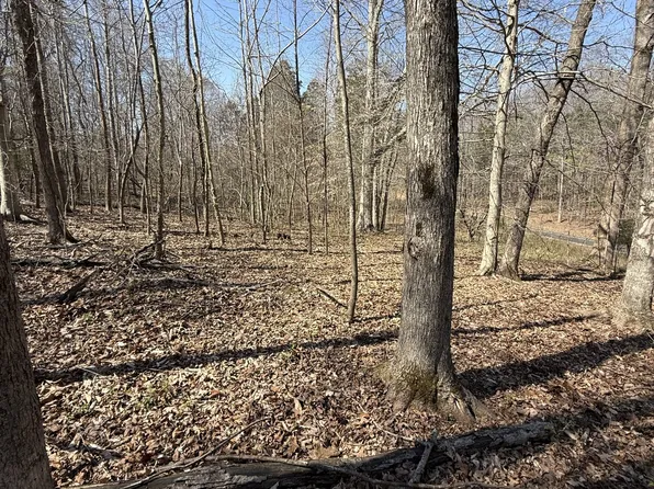 0 Brigham Branch Rd Lot 1, Erin, TN 37061