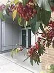 235 Patterson Ave #PH6 — Photo 2