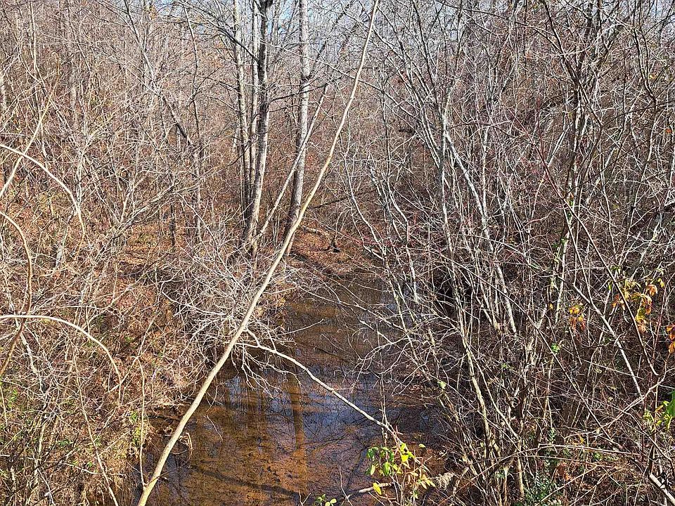 2nd image of 0 County Road 471 #0