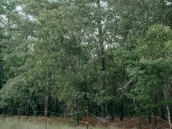 5th image of Lot 3-Tbd Nighthawk Loop