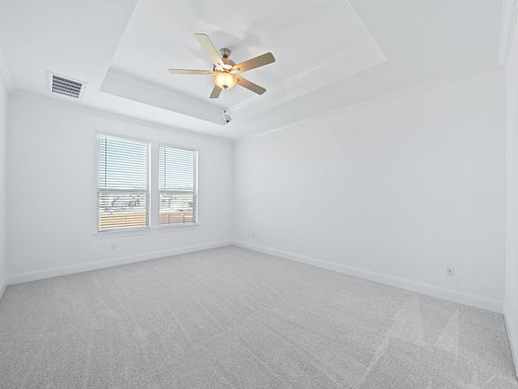Owner s Bedroom with Tray Ceilings