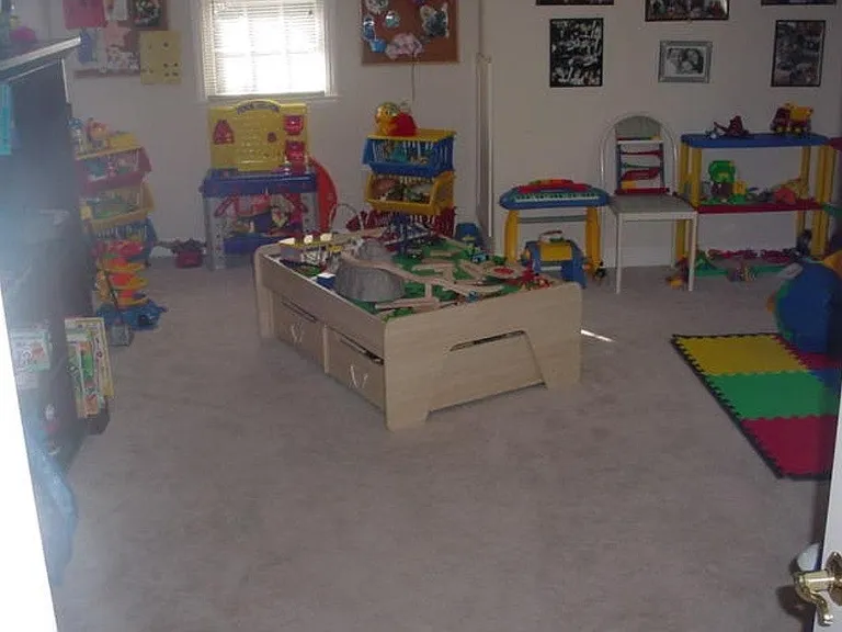 Bonus/play room