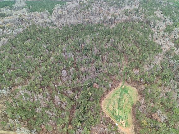 4th image of 11039 Tallahatta Springs Rd