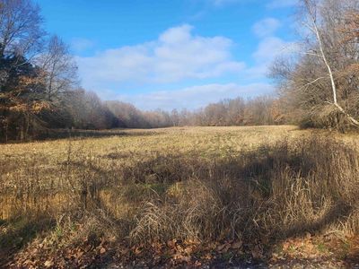 Will Young Rd, Greenfield, TN, 38230