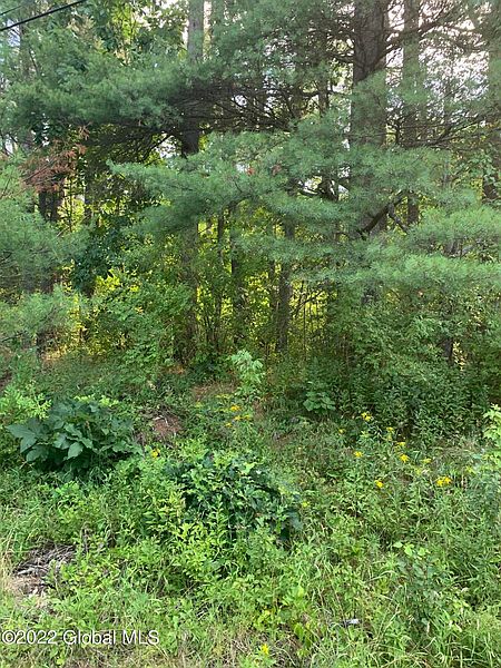 4th image of 0 McDougal Lake Road