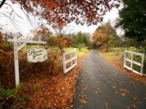 4899 Parsons Green Ln, Charlottesville, VA, 22903