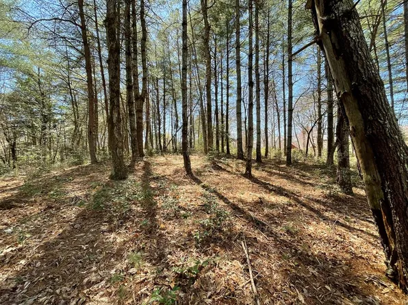 93 Fox Lake Rd, Blairsville, GA 30512
