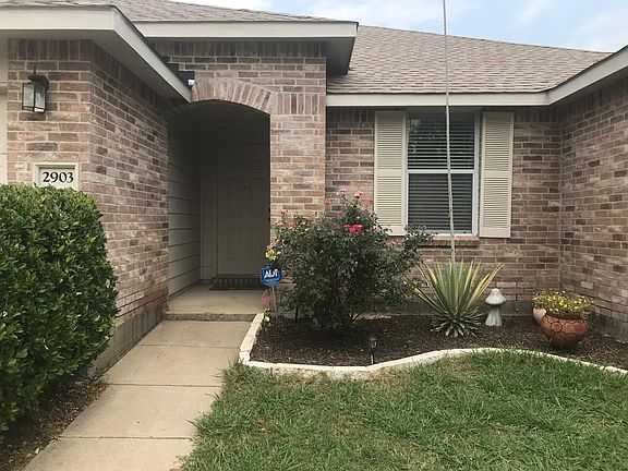 4th image of 2903 Reata Dr