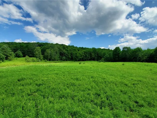 LOT 28.1 Palmer Hill Rd #28, Meridale, NY 13806