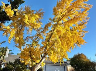 6958 Del Rio Dr, San Jose, CA 95119