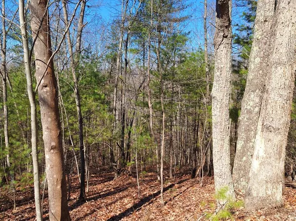 0 W Perch Rd, Monroe, VA 24574