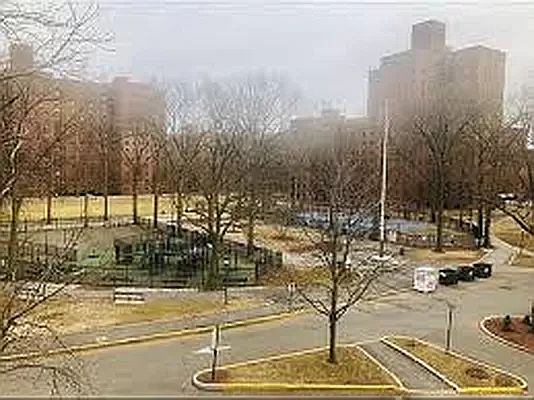 2nd image of 20 Metropolitan Oval APT 12