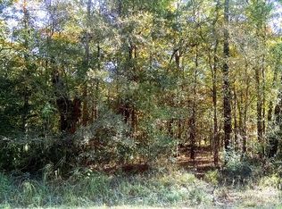 Rainey Rd, Livingston, TX 77351