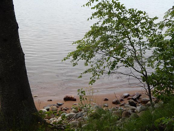 5th image of 3408 Lakeshore Dr