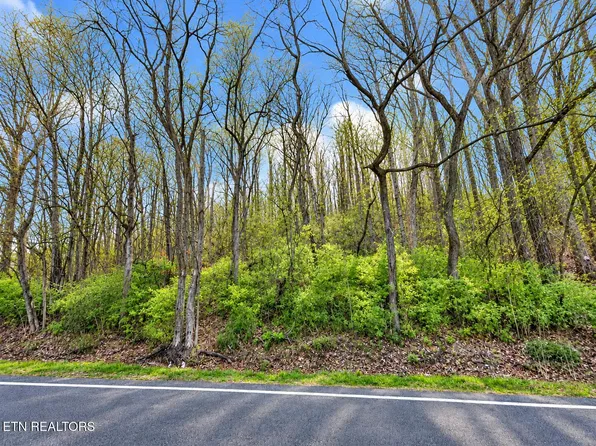 Oakland Rd, Sweetwater, TN 37874