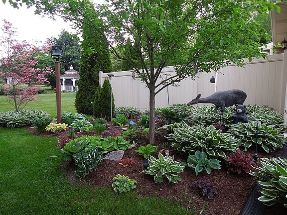 4th image of this home