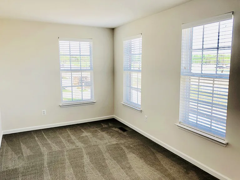 460 Coneflower Ln — Photo 28