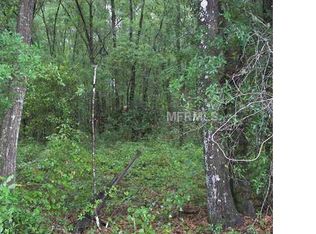 703 W Ohio Ave, Lake Helen, FL 32744