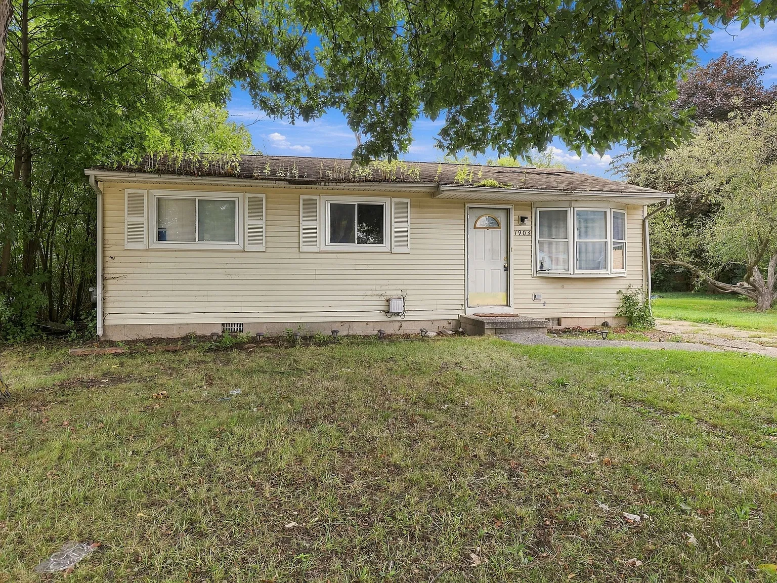 1903 Williamson St - 1 — Photo 1