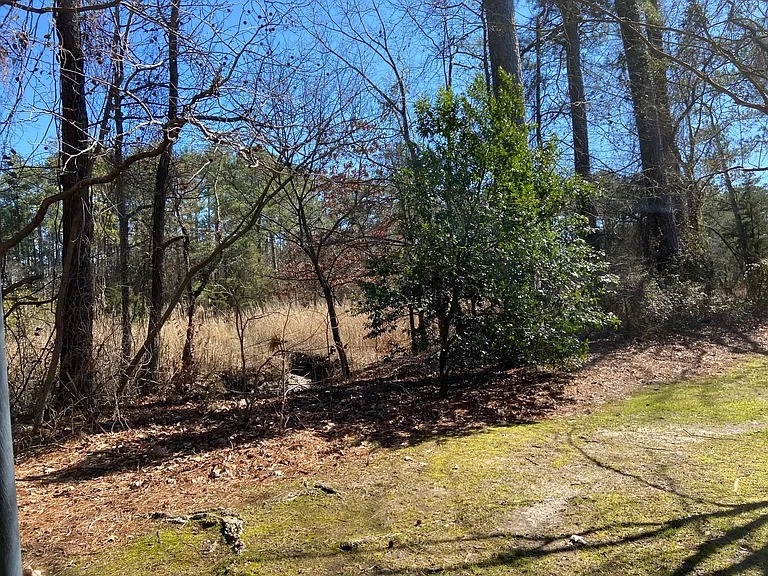 410 Abbotsleigh Ct — Photo 20