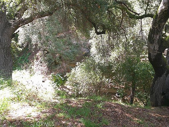 4th image of 1003 Carbon Canyon Rd #7