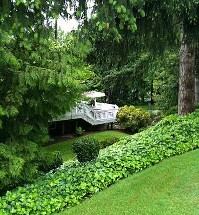 3rd image of 3447 119th Ave NE