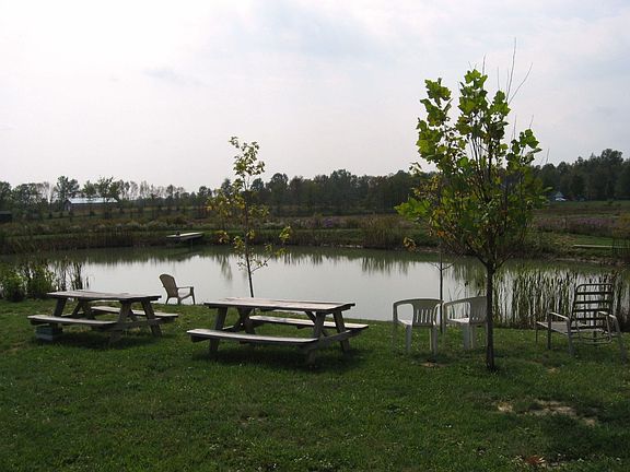 POND PICNIC AREA