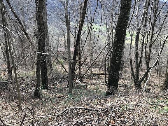 5th image of 10 Shadow Ln