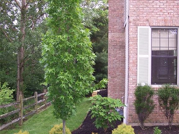 3rd image of 2101 Silverwood Ct