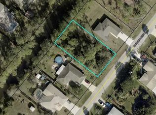163 Bridgehaven Dr LOT 69, Palm Coast, FL 32137