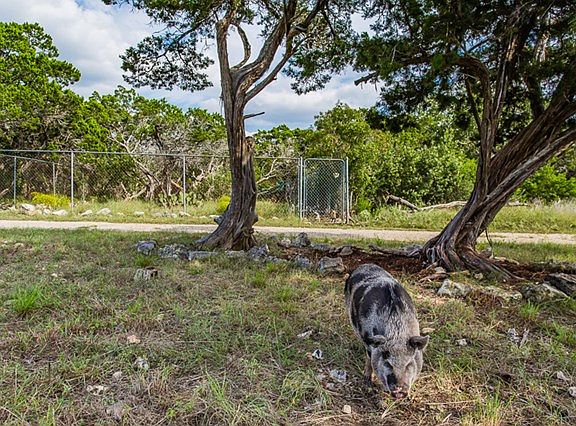 3rd image of 115 Kerrville South Dr