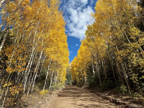 LOT 5683 Battersea Road, San Luis, CO 81152