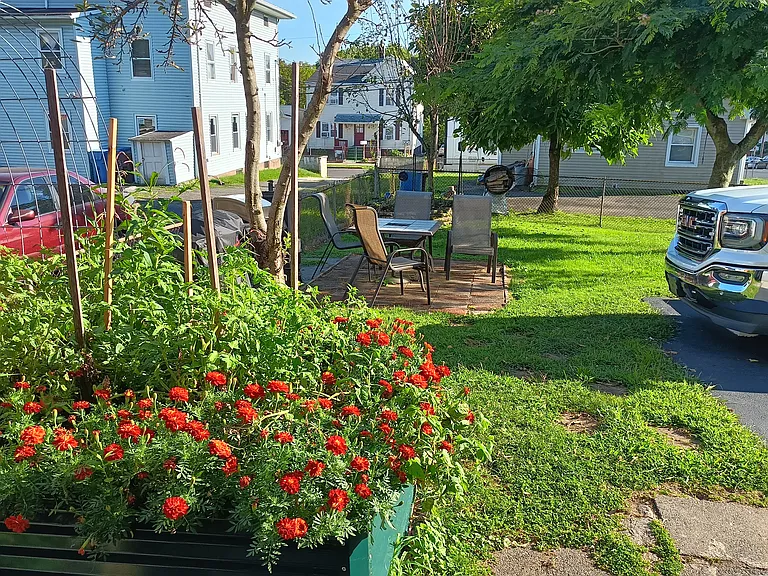 Backyard view